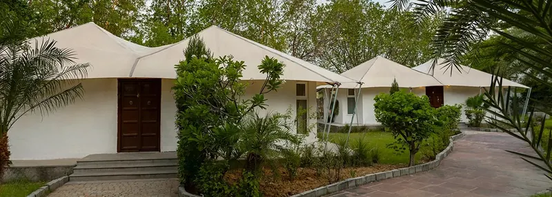 Tree of Life Tiger Trail, Ranthambore, wedding venue